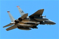 Florencio Martn Melin - Lanzarote Spotters. Click to see full size photo