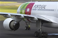 Rui Alves - Madeira Spotters. Click to see full size photo