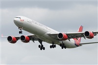 Rubn Gil - Noisy Spotters. Click to see full size photo