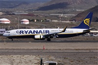 Alfonso Sols - Asociacin Canary Islands Spotting. Haz click para ampliar