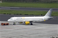 Javier de la Cruz - CANARY ISLANDS SPOTTING. Click to see full size photo