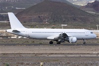 ©Alfonso Solís - Asociación Canary Islands Spotting. Click to see full size photo ©Alfonso Solís - Asociación Canary Islands Spotting. Click to see full size photo