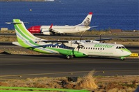 Miguel A. gueda Rguez.  (CANARY ISLANDS SPOTTING). Click to see full size photo