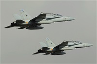 Luciano Fumero( freedom spotter)canary island spotting. Click to see full size photo