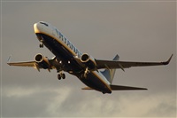 Saimon J Rodriguez   -   Canary Islands Spotting. Click to see full size photo