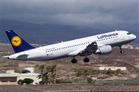 Saimon J Rodriguez   -   Canary Islands Spotting. Click to see full size photo