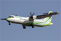 Bartolom Fernndez - Gran Canaria Spotters. Click to see full size photo