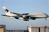 Rubn Gil - Noisy Spotters. Click to see full size photo