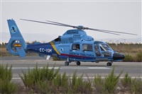 Fco Javier Garca Ruiz. Click to see full size photo