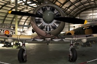 Jos Mara Rebs. Click to see full size photo