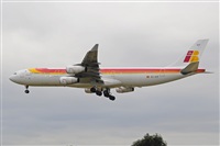 Miguel A. gueda Rguez.  (CANARY ISLANDS SPOTTING). Click to see full size photo