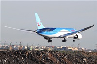 Miguel A. gueda Rguez.  (CANARY ISLANDS SPOTTING). Click to see full size photo