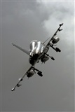 Montserrat Pin. Click to see full size photo