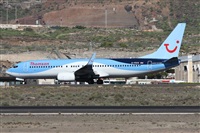 ©Alfonso Solís - Asociación Canary Islands Spotting. Click to see full size photo ©Alfonso Solís - Asociación Canary Islands Spotting. Click to see full size photo