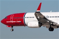 Miguel Alia - Noisy Spotters. Click to see full size photo