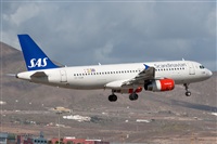 Bartolom Fernndez - Gran Canaria Spotters. Click to see full size photo