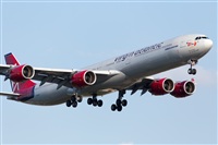 Miguel Alia - Noisy Spotters. Click to see full size photo