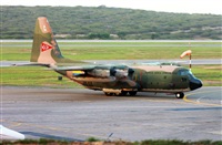 Harold Castro. Click to see full size photo