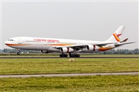Javier de la Cruz - CANARY ISLANDS SPOTTING. Click to see full size photo