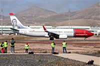Javier de la Cruz - CANARY ISLANDS SPOTTING. Click to see full size photo