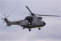 Fco Javier Garca Ruiz. Click to see full size photo