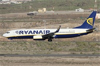 Alfonso Sols - Asociacin Canary Islands Spotting. Click to see full size photo