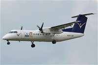 Rodrigo Carvalho - Noisy Spotters. Click to see full size photo