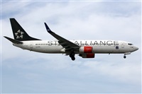 Adrin Alonso Lemes - Lanzarote Spotters. Click to see full size photo