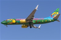 ©Daniel Santos Batista - Canary Islands Spotting. Click to see full size photo ©Daniel Santos Batista - Canary Islands Spotting. Click to see full size photo
