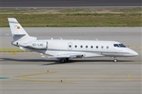 ©Saimon J Rodriguez - Canary Islands Spotting. Click to see full size photo ©Saimon J Rodriguez - Canary Islands Spotting. Click to see full size photo