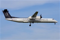 Miguel A. gueda Rguez.  (CANARY ISLANDS SPOTTING). Click to see full size photo