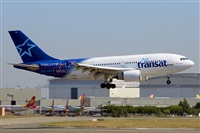 Miguel A. gueda Rguez.  (CANARY ISLANDS SPOTTING). Click to see full size photo