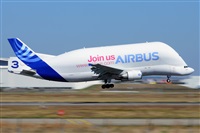 Miguel A. gueda Rguez.  (CANARY ISLANDS SPOTTING). Click to see full size photo
