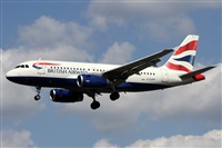Alfonso Sols - Asociacin Canary Islands Spotting. Click to see full size photo