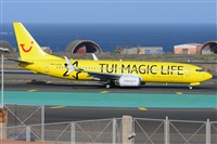 Miguel A. gueda Rguez.  (CANARY ISLANDS SPOTTING). Click to see full size photo