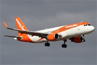 Alfonso Sols - Asociacin Canary Islands Spotting. Click to see full size photo
