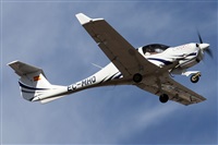 ©Alfonso Solís - Asociación Canary Islands Spotting. Click to see full size photo ©Alfonso Solís - Asociación Canary Islands Spotting. Click to see full size photo