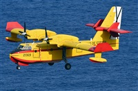 Miguel A. gueda Rguez.  (CANARY ISLANDS SPOTTING). Click to see full size photo