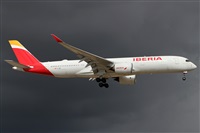 ©Alfonso Solís - Asociación Canary Islands Spotting. Click to see full size photo ©Alfonso Solís - Asociación Canary Islands Spotting. Click to see full size photo