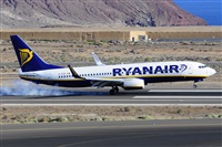 Miguel A. gueda Rguez.  (CANARY ISLANDS SPOTTING). Click to see full size photo