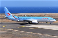 Miguel A. gueda Rguez.  (CANARY ISLANDS SPOTTING). Click to see full size photo