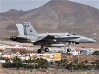 J. Victor Vega-Gran Canaria Spotters. Click to see full size photo