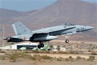 Luis Rguez - La Palma Spotting. Click to see full size photo