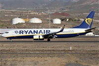 Alfonso Sols - Asociacin Canary Islands Spotting. Click to see full size photo
