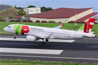 Miguel A. gueda Rguez.  (CANARY ISLANDS SPOTTING). Click to see full size photo
