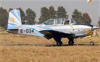 ©Martín E. Montero de Espinosa. Click to see full size photo ©Martín E. Montero de Espinosa. Click to see full size photo