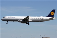 Alfonso Sols - Asociacin Canary Islands Spotting. Haz click para ampliar