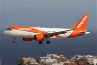 Alfonso Sols - Asociacin Canary Islands Spotting. Click to see full size photo