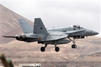 Adrin Alonso Lemes - Lanzarote Spotters. Click to see full size photo