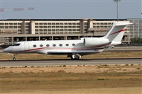 ©Alfonso Solís - Asociación Canary Islands Spotting. Click to see full size photo ©Alfonso Solís - Asociación Canary Islands Spotting. Click to see full size photo
